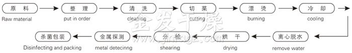 脫水蔬菜帶式幹燥工藝流程